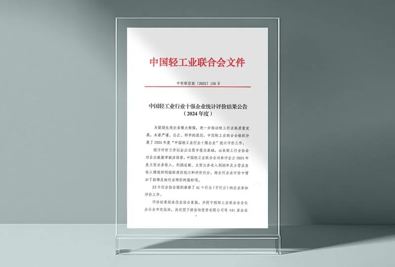 China National Light Industry Council document confirming the 2024 Top 10 evaluation